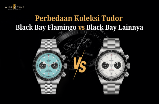 Perbedaan Tudor Black Bay Flamingo vs Koleksi Tudor Black Bay Lainnya